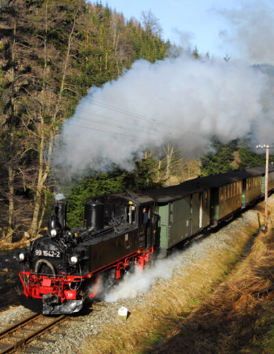Geburtstagsfahrt Reisebüro Happyday Niederwiesa ins Erzgebirge mit Dampfeisenbahn